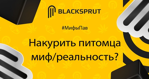 BlackSprut darknet официальный сайт BlackSprut2web com
